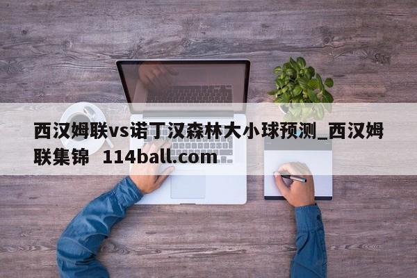 西汉姆联vs诺丁汉森林大小球预测_西汉姆联集锦  114ball.com