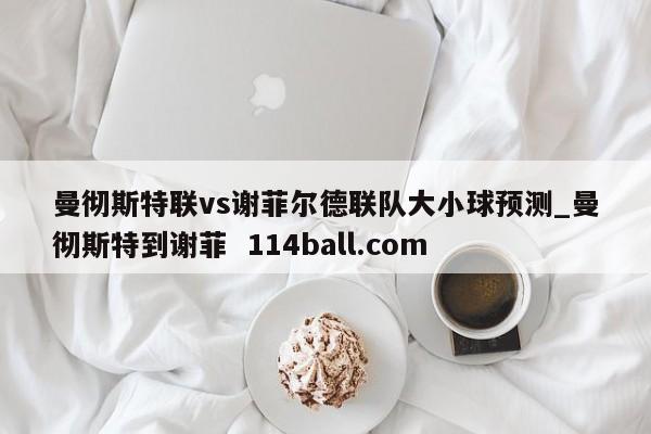 曼彻斯特联vs谢菲尔德联队大小球预测_曼彻斯特到谢菲  114ball.com